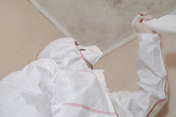 Best Mold Odor Removal Services  in Friendship Heights Village, MD