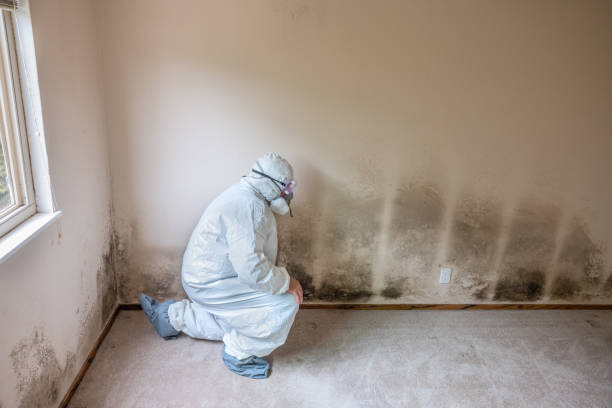 Best Real Estate Mold Inspection  in Friendship Heights Village, MD